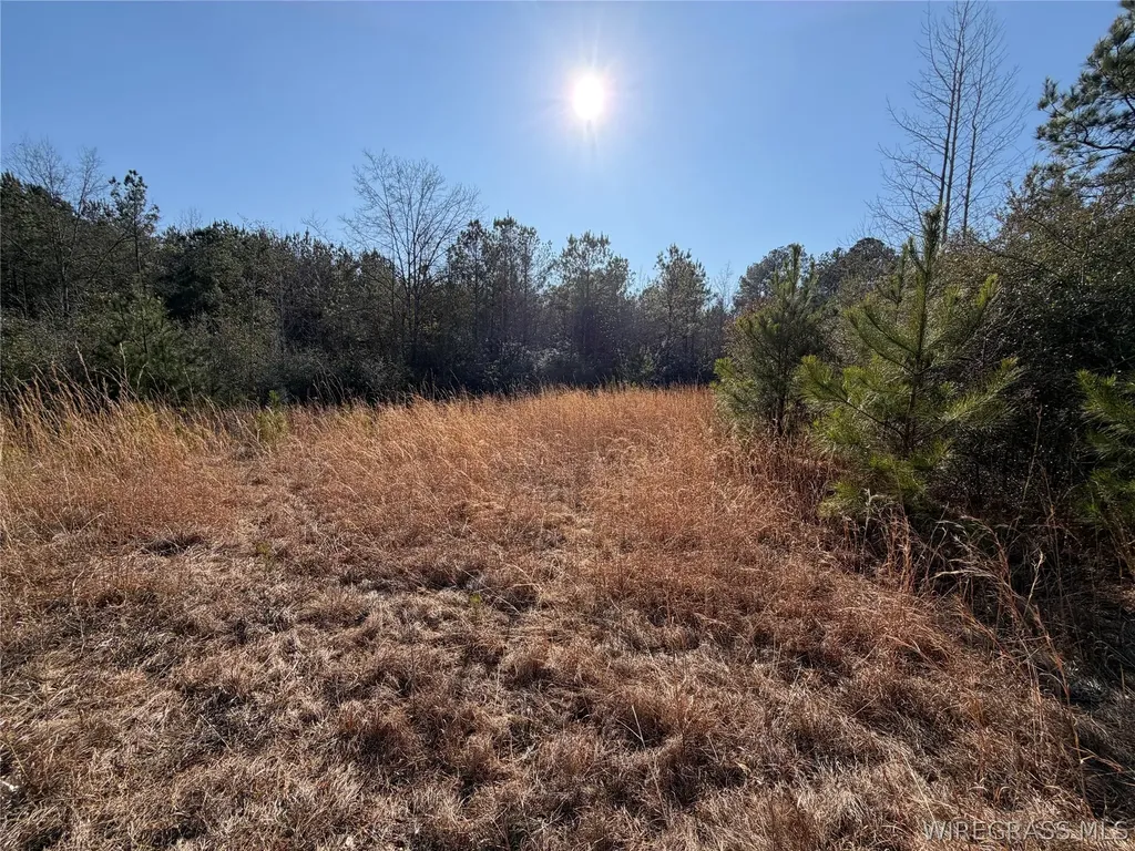 0 County Road 201 Troy AL 36079