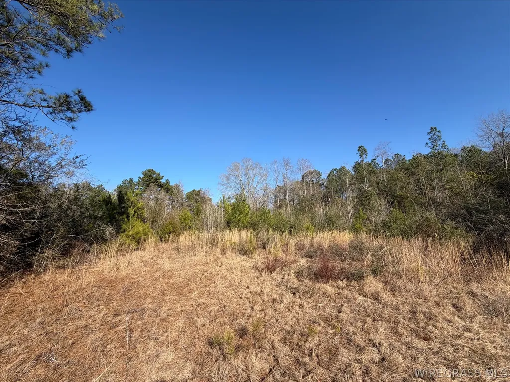 0 County Road 201 Troy AL 36079