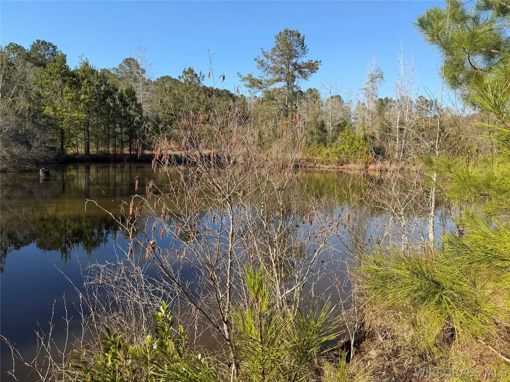 0 County Road 201 Troy AL 36079