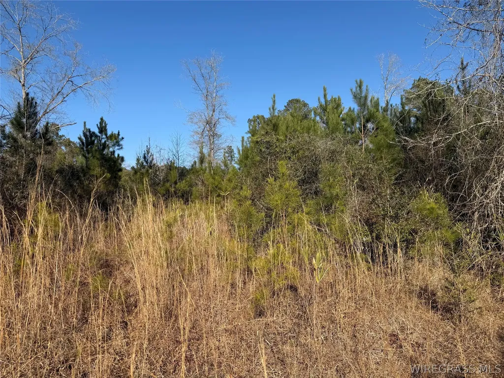 0 County Road 201 Troy AL 36079