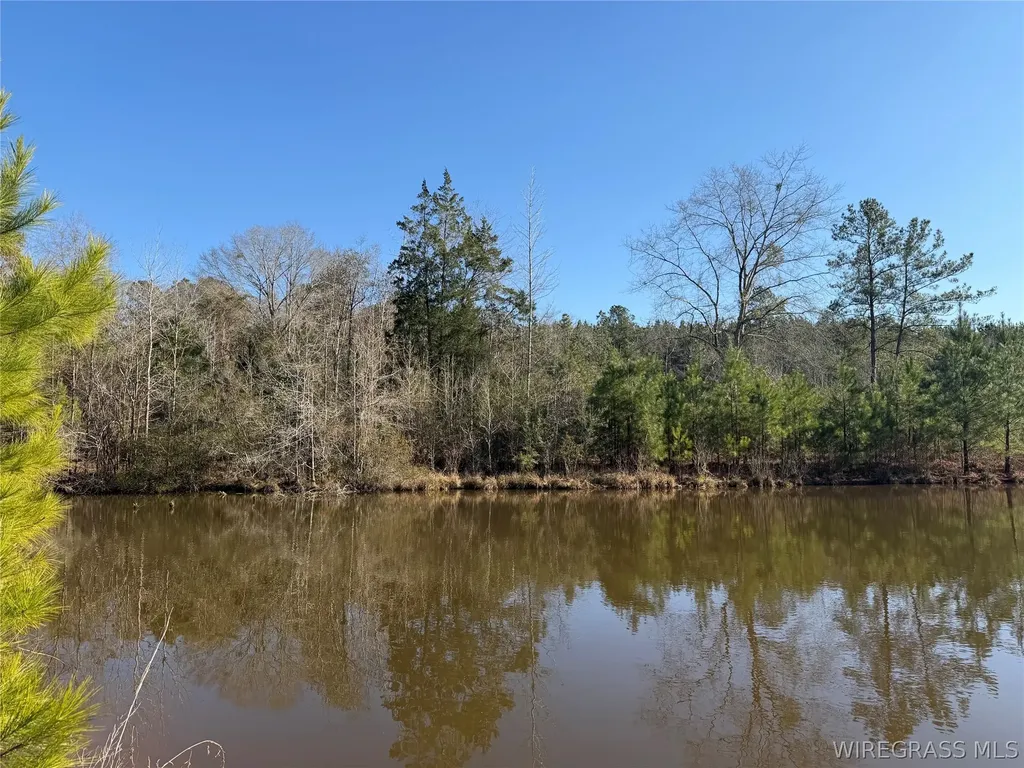 0 County Road 201 Troy AL 36079