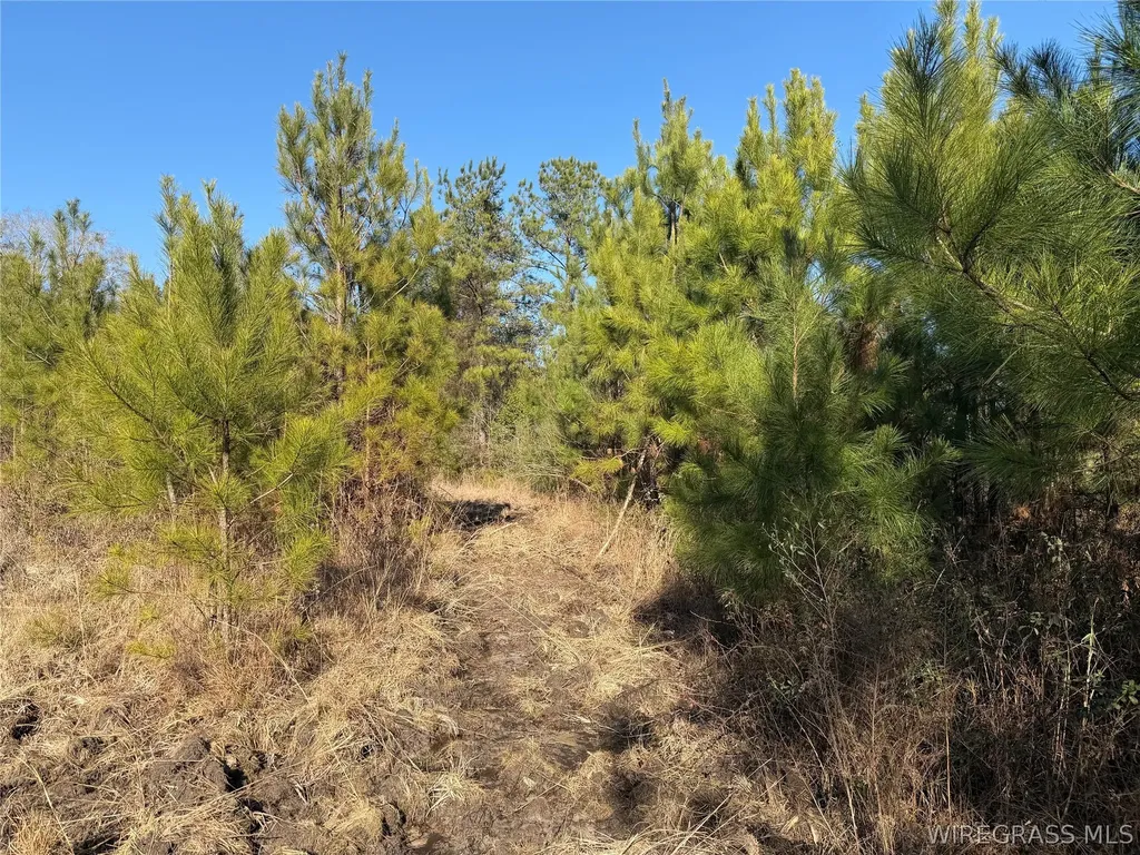 0 County Road 201 Troy AL 36079