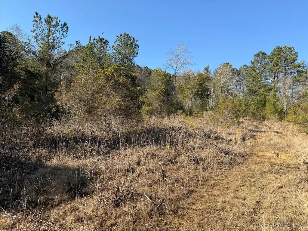 0 County Road 201 Troy AL 36079