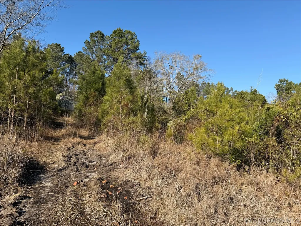 0 County Road 201 Troy AL 36079