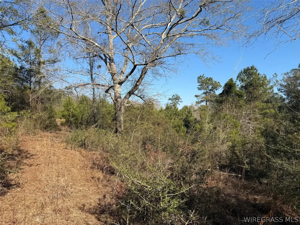 0 County Road 201 Troy AL 36079