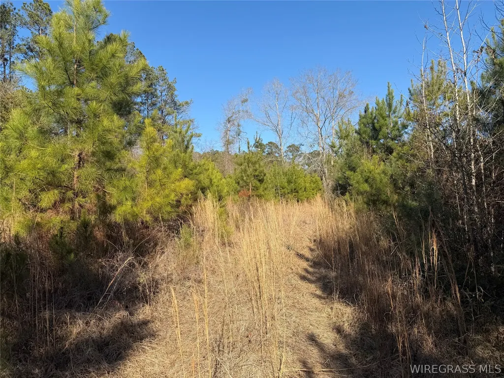 0 County Road 201 Troy AL 36079