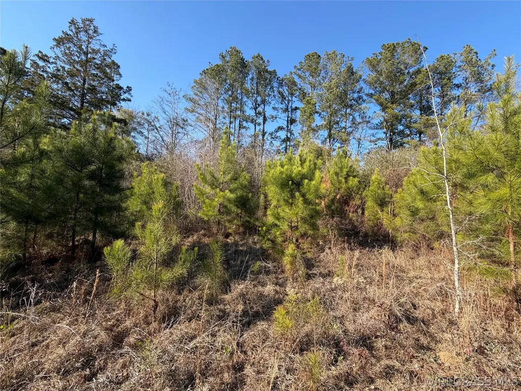 0 County Road 201 Troy AL 36079