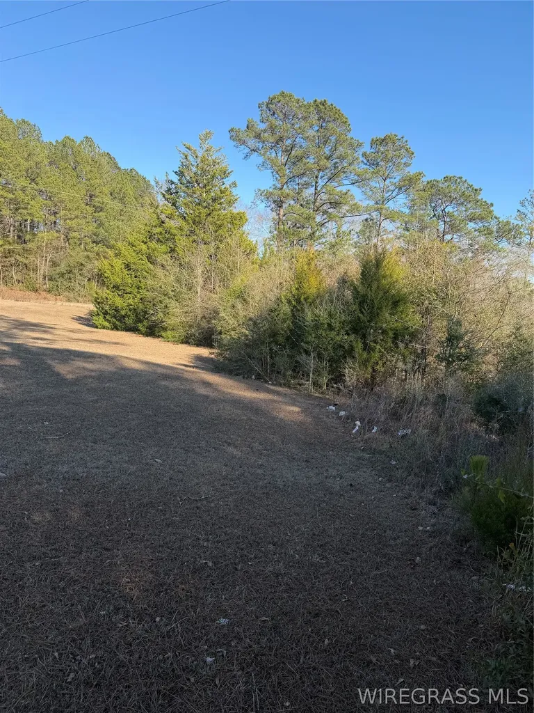 0 County Road 201 Troy AL 36079