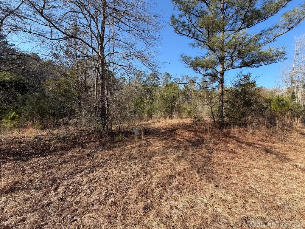 0 County Road 201 Troy AL 36079