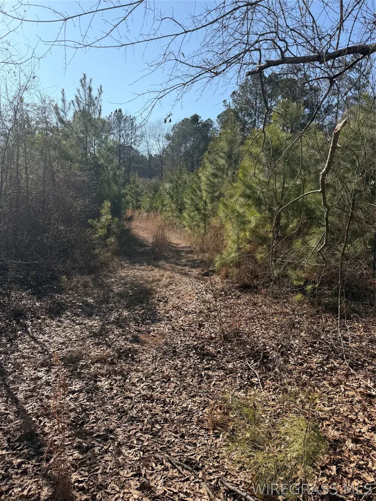 0 County Road 201 Troy AL 36079