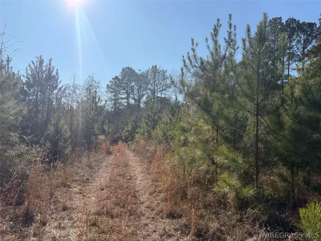 0 County Road 201 Troy AL 36079