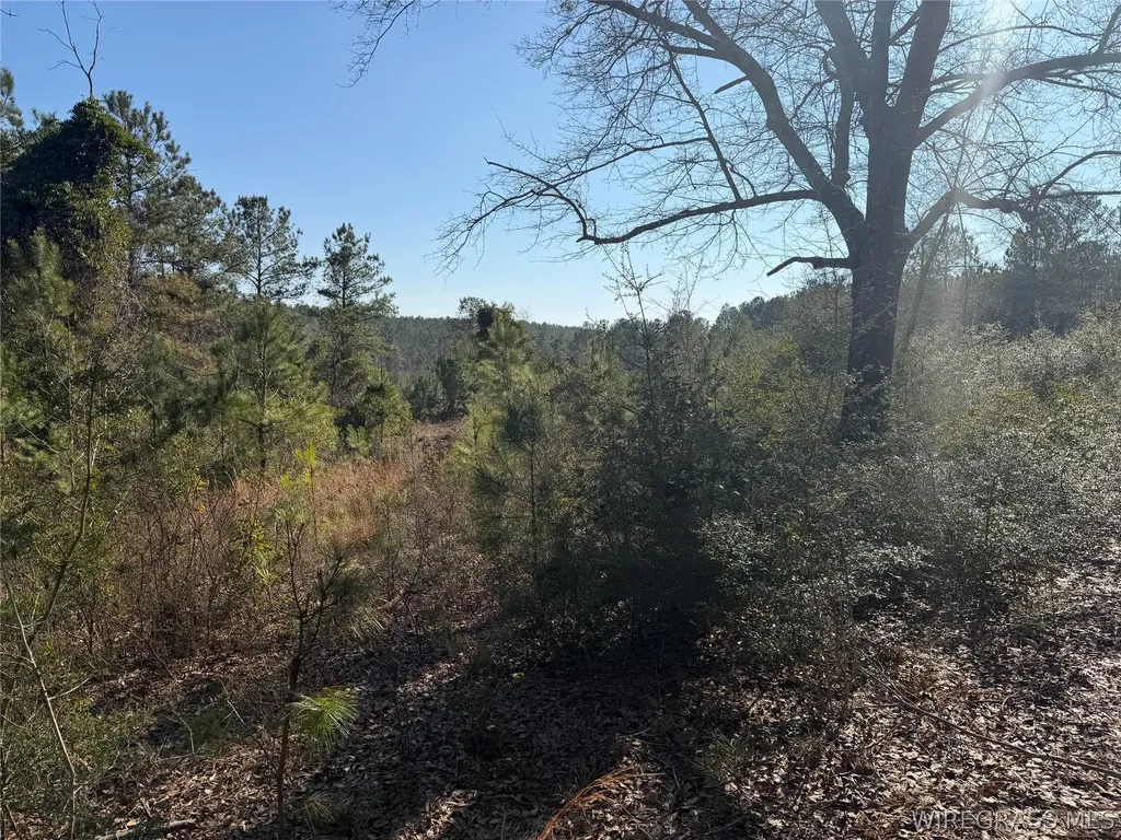 0 County Road 201 Troy AL 36079