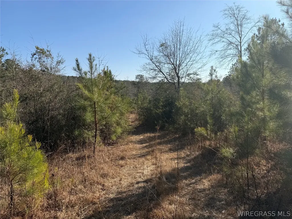 0 County Road 201 Troy AL 36079