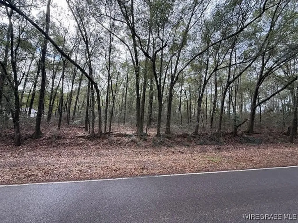 0 County Road 708 Enterprise AL 36330