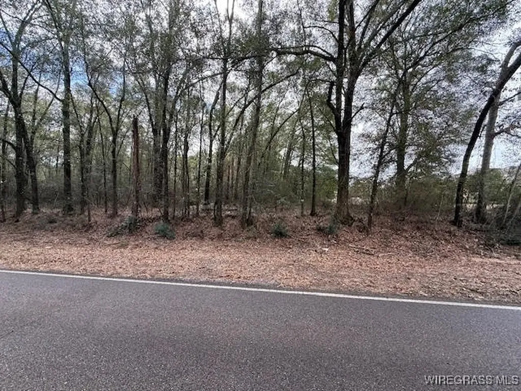 0 County Road 708 Enterprise AL 36330