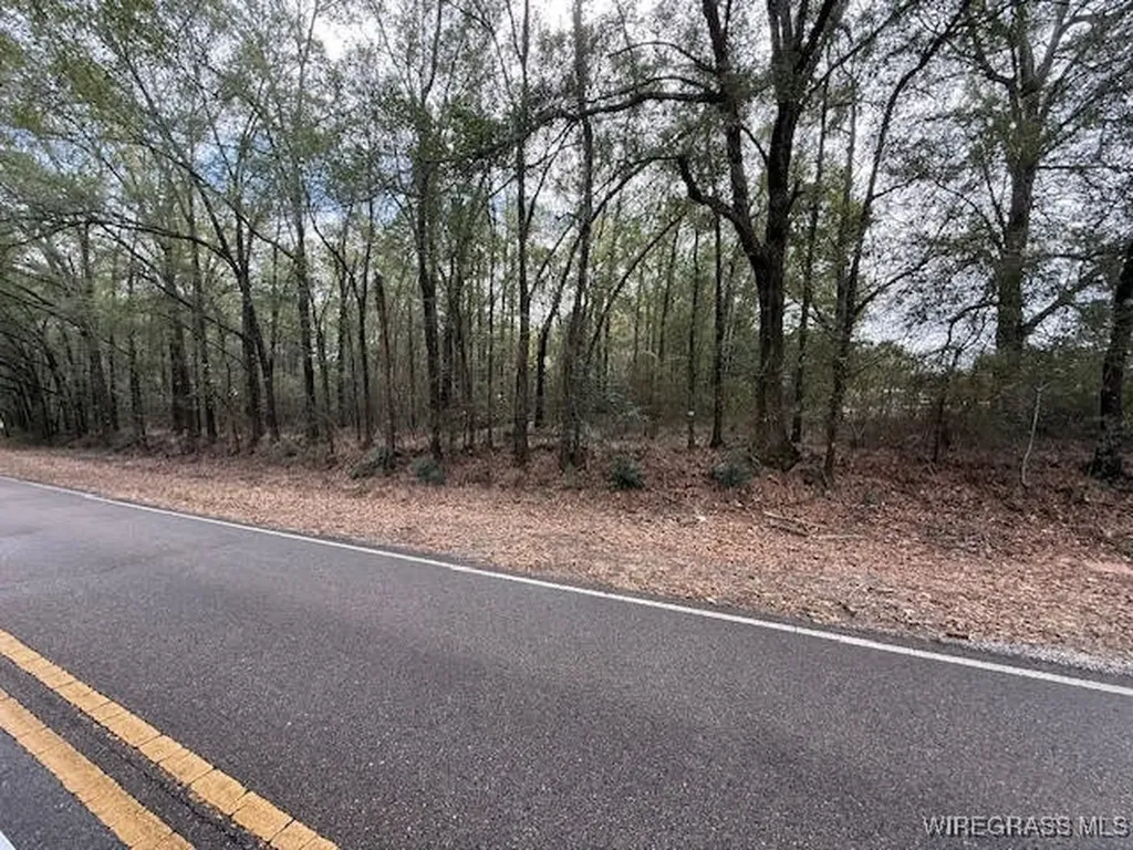 0 County Road 708 Enterprise AL 36330