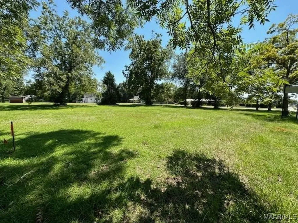 0 Brookline Street Midland City AL 36350