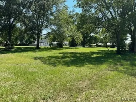 0 Brookline Street Midland City AL 36350