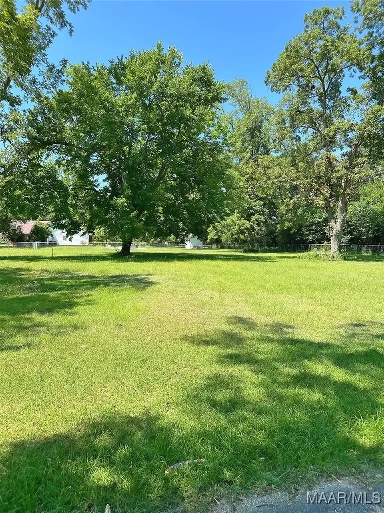 0 Brookline Street Midland City AL 36350
