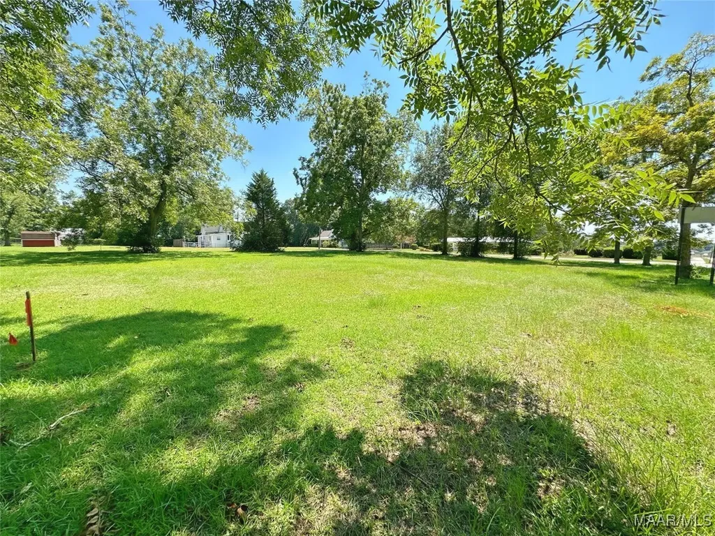 0 Brookline Street Midland City AL 36350