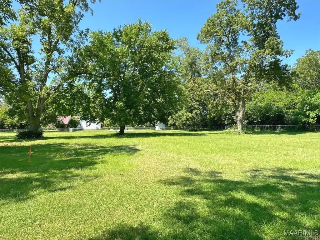 0 Brookline Street Midland City AL 36350