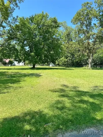 0 Brookline Street Midland City AL 36350