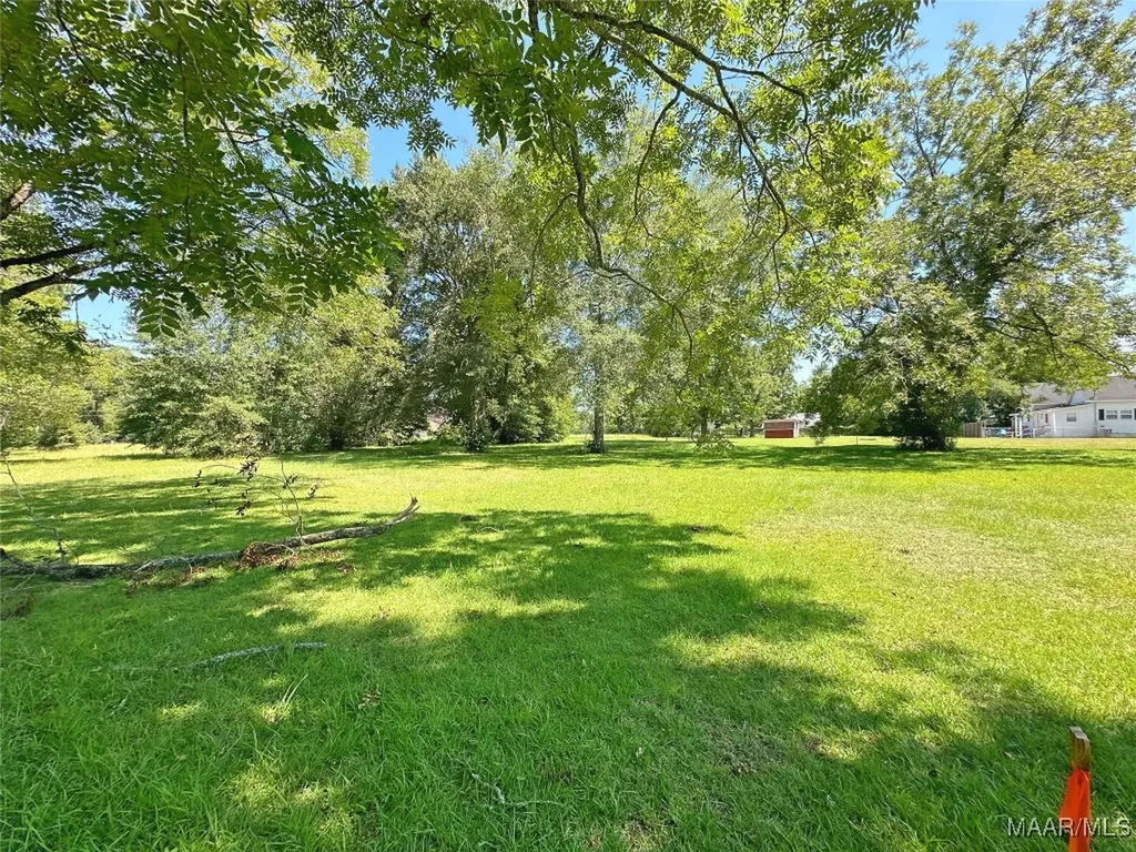 0 Brookline Street Midland City AL 36350