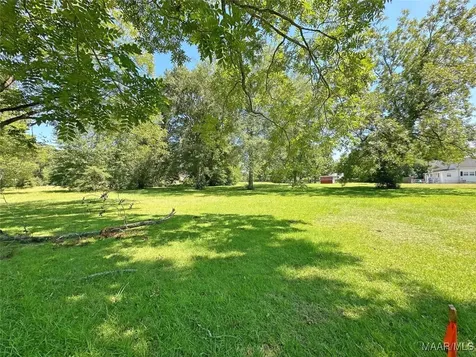 0 Brookline Street Midland City AL 36350