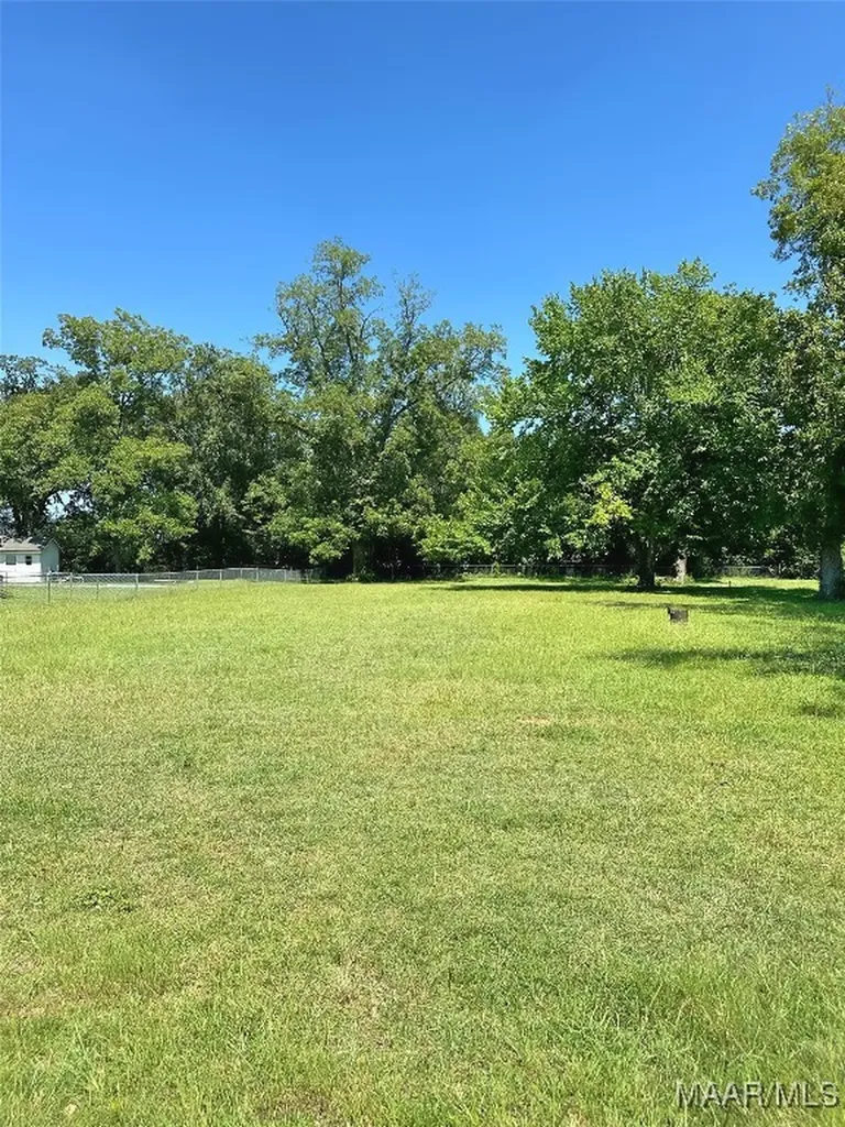 0 4th Street Midland City AL 36350