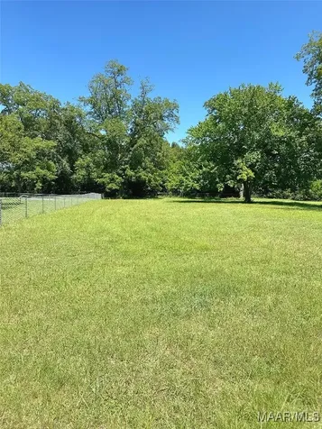 0 4TH Street Midland City AL 36350