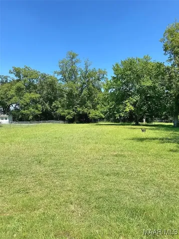 0 4TH Street Midland City AL 36350