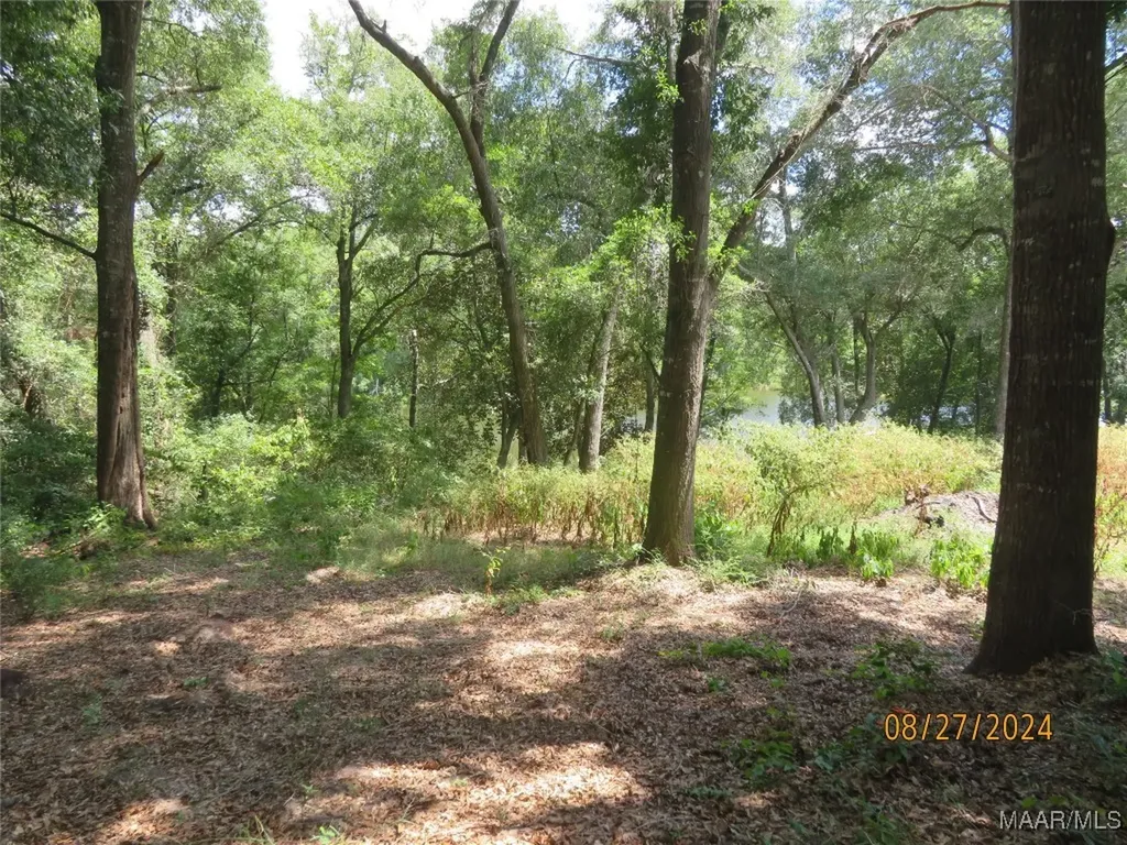 111 Oak Lake Drive Enterprise AL 36330