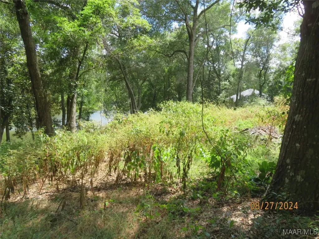 111 Oak Lake Drive Enterprise AL 36330