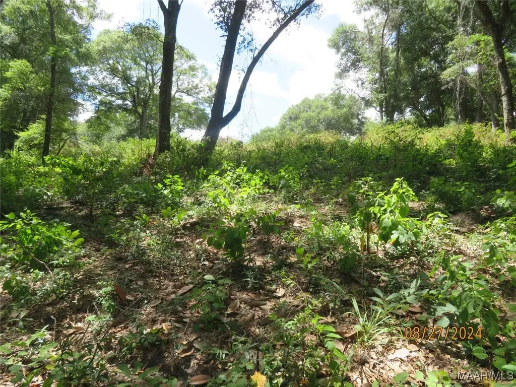 111 Oak Lake Drive Enterprise AL 36330