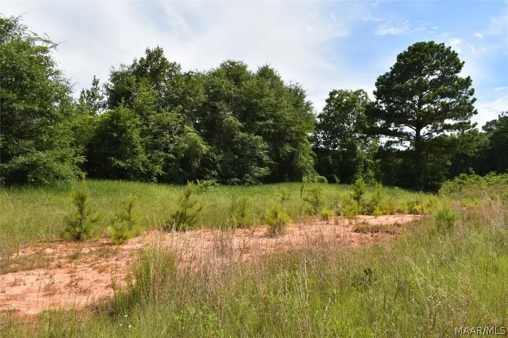 0 Freedom Heights Enterprise AL 36330