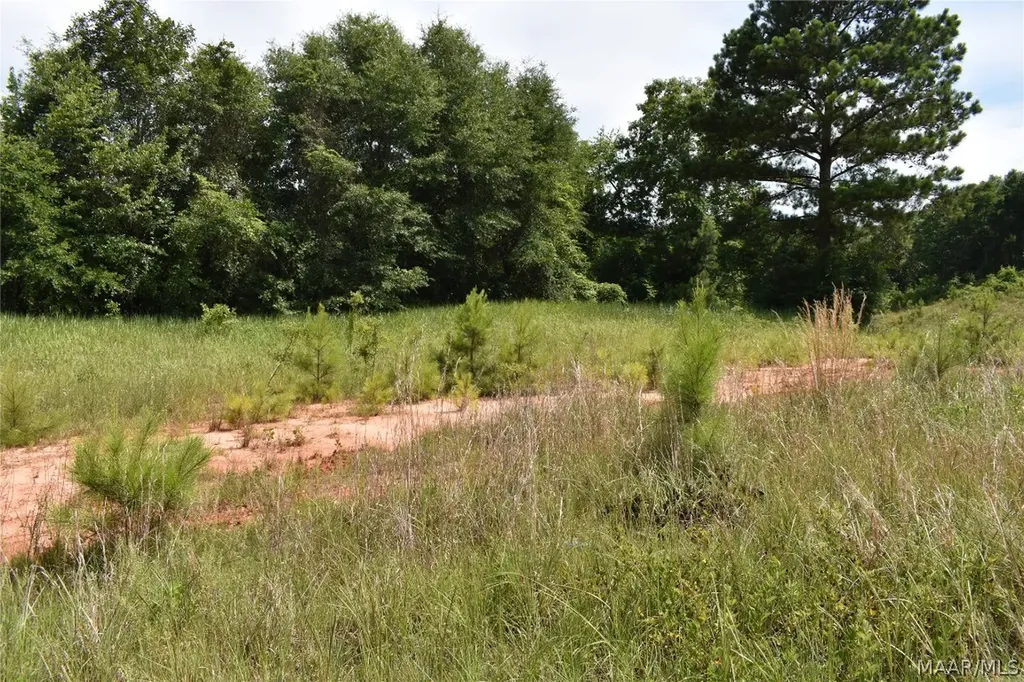 0 Freedom Heights Enterprise AL 36330