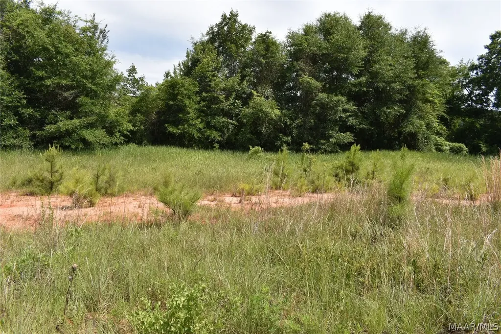 0 Freedom Heights Enterprise AL 36330