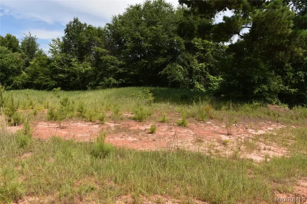 0 Freedom Heights Enterprise AL 36330