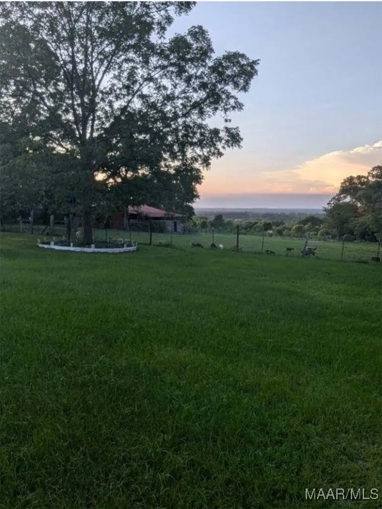 7511 County Road 107 Ariton AL 36311