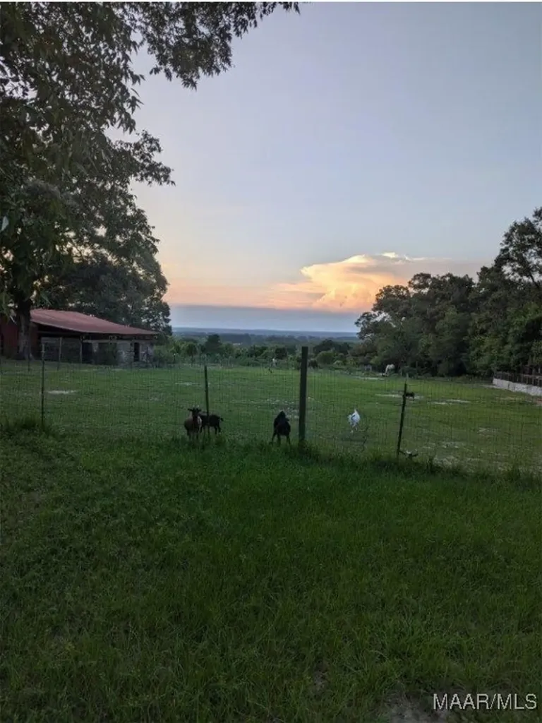 7511 County Road 107 Ariton AL 36311