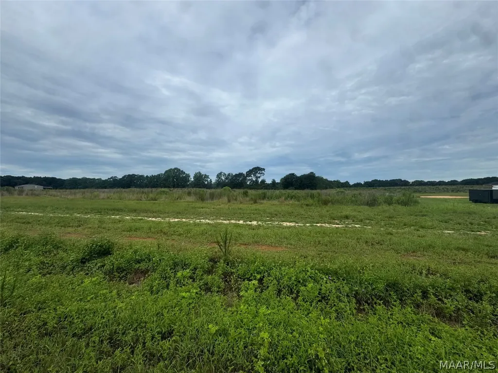 6 County Road 625 New Brockton AL 36351