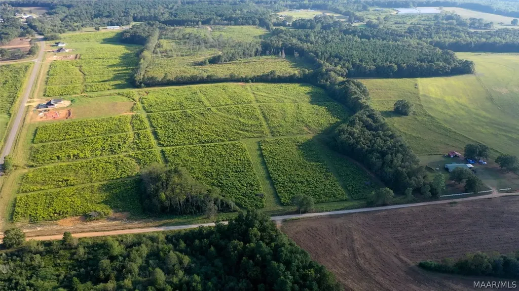 6 County Road 625 New Brockton AL 36351