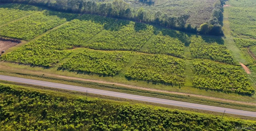 6 County Road 625 New Brockton AL 36351