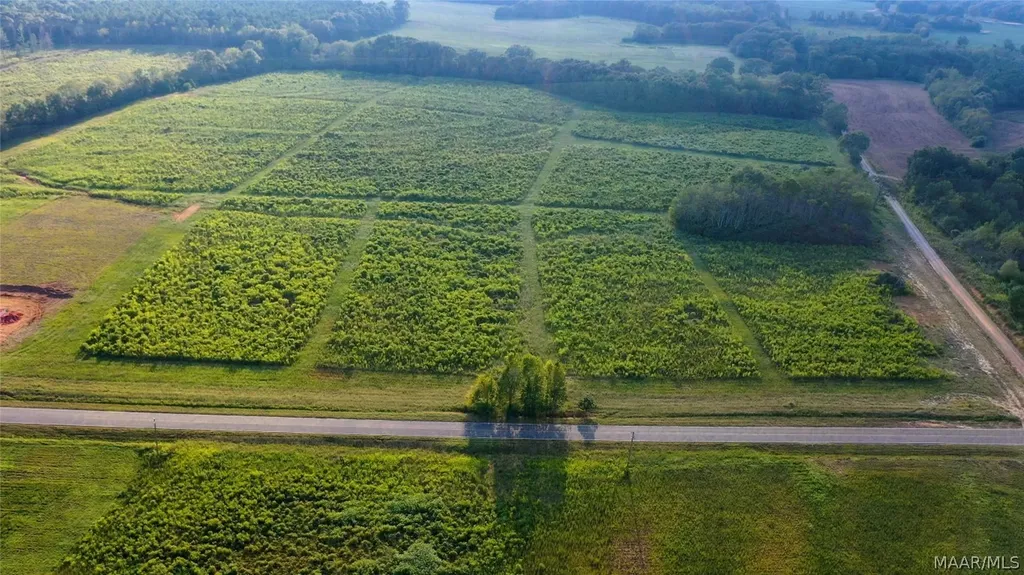 6 County Road 625 New Brockton AL 36351