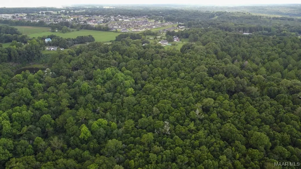 0 Averett Road Enterprise AL 36330