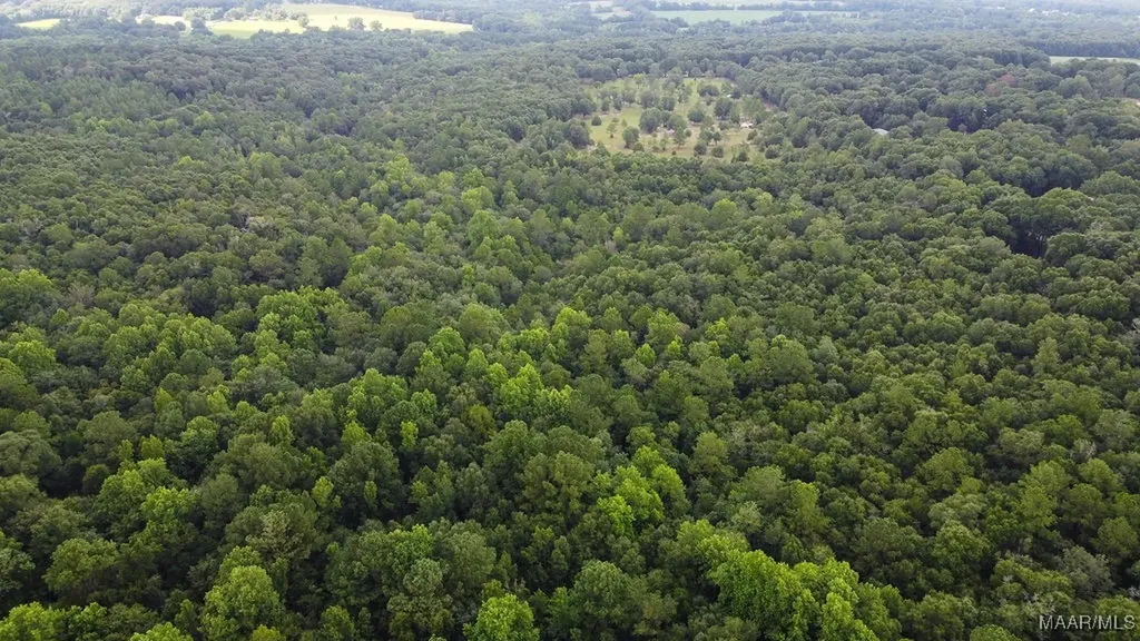 0 Averett Road Enterprise AL 36330