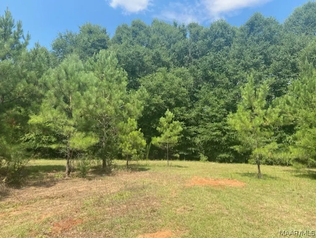 0 Averett Road Enterprise AL 36330