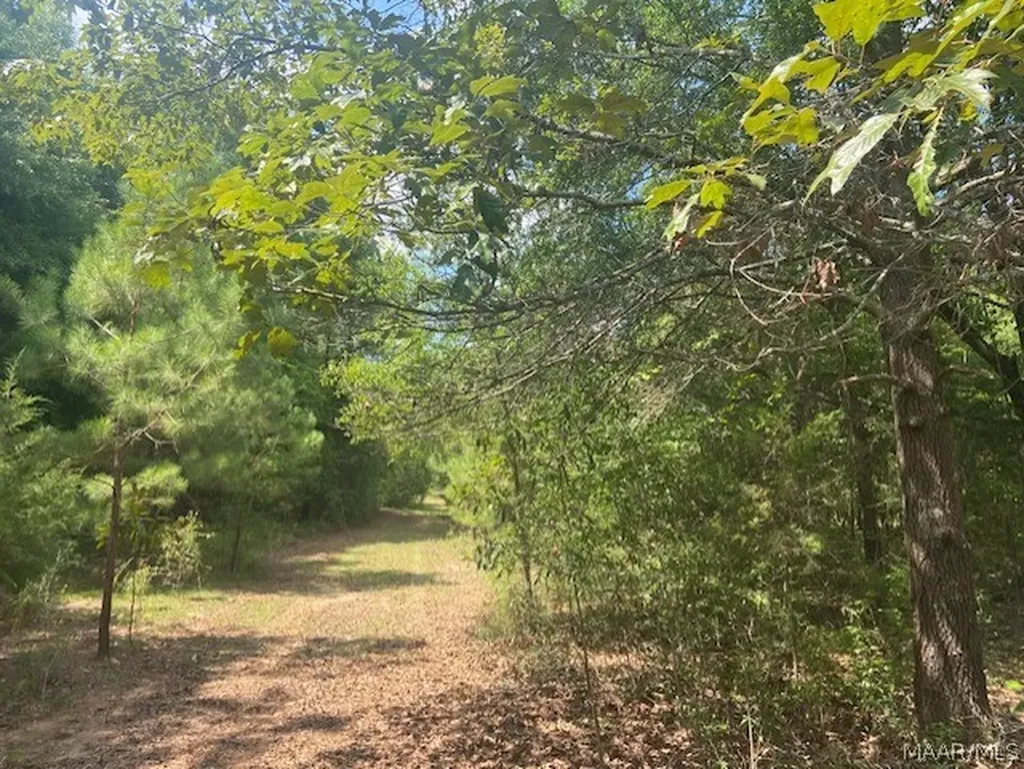 0 Averett Road Enterprise AL 36330