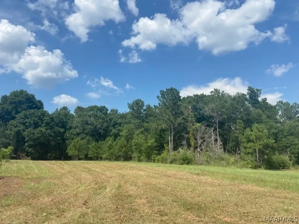 0 Averett Road Enterprise AL 36330