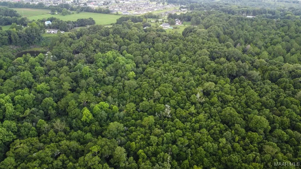 0 Averett Road Enterprise AL 36330